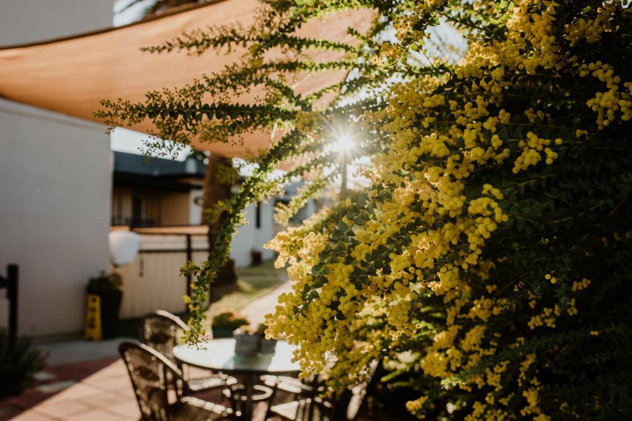 Inverell Terrace Motor Lodge Exterior photo
